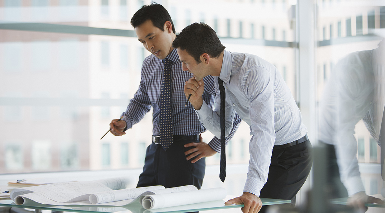 Professionals (APs, RSEs, RGEs)