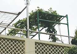 Open and uncovered rooftop gardening trellis